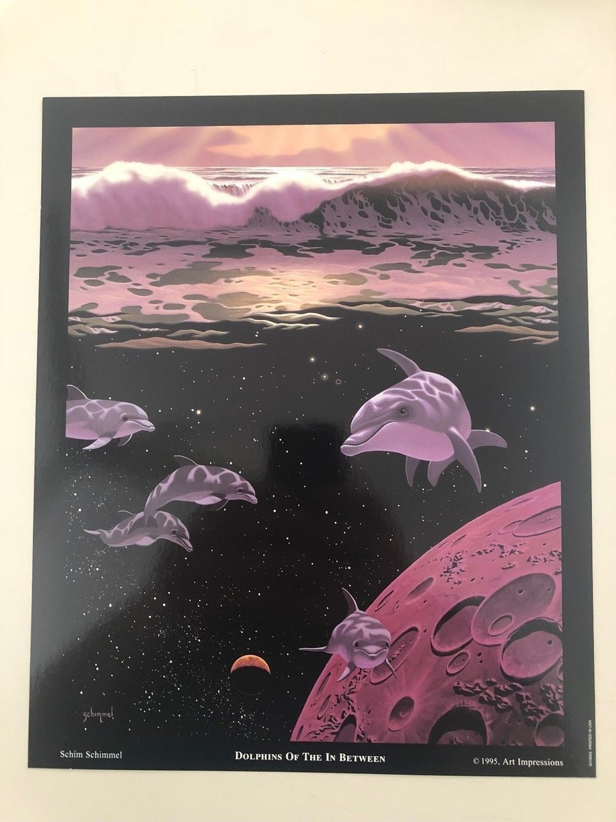 SCHIM SCHIMMEL 'DOLPHINS OF THE IN BETWEEN' ,RARE AUTHENTIC 1995