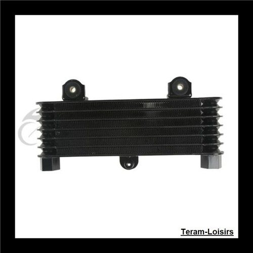 Radiateur Huile pour Suzuki TL 1000 S de 1997 1998 1999 2000 2001 / NEUF - Photo 4/8