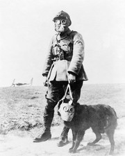 WWI FRENCH SOLDIER & DOG GAS MASK 8x10 GLOSSY PHOTO PRINT