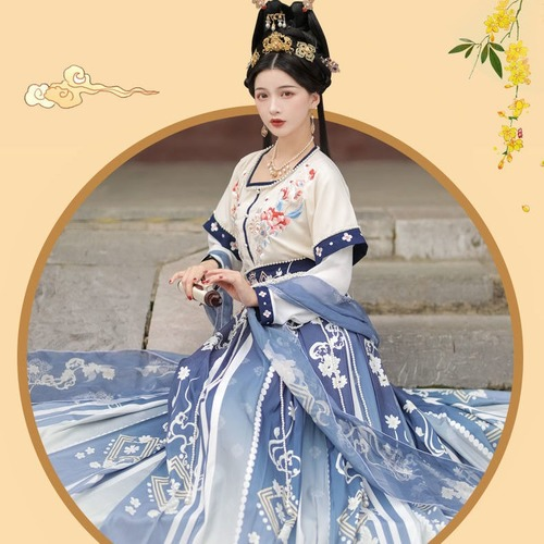 3PCS Chinese Traditional Half-arm Skirt Tang Dynasty Folk Cosplay Hanfu Robe - Bild 9 von 11