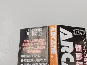 Human All Women vs JWP Fire Pro Wrestling Dome PC Engine Super CD Software