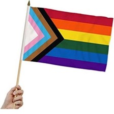 Progress Pride Rainbow Flag 12x18 Inch Hand Flag On Stick LGBTQ LGBTQIA 100D