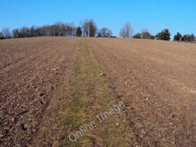 Foto 6x4 öffentlicher Fußweg zum Perrystone Hill Old Gore Richtung Norden quer c2010
