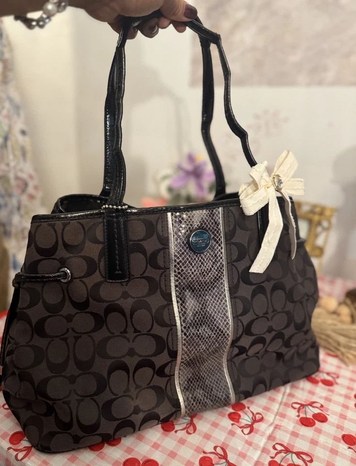 Coach Python Stripe Carryall Tote Bag Shoulder Handbag Satchel Blue Accent EUC - Image 4 of 4