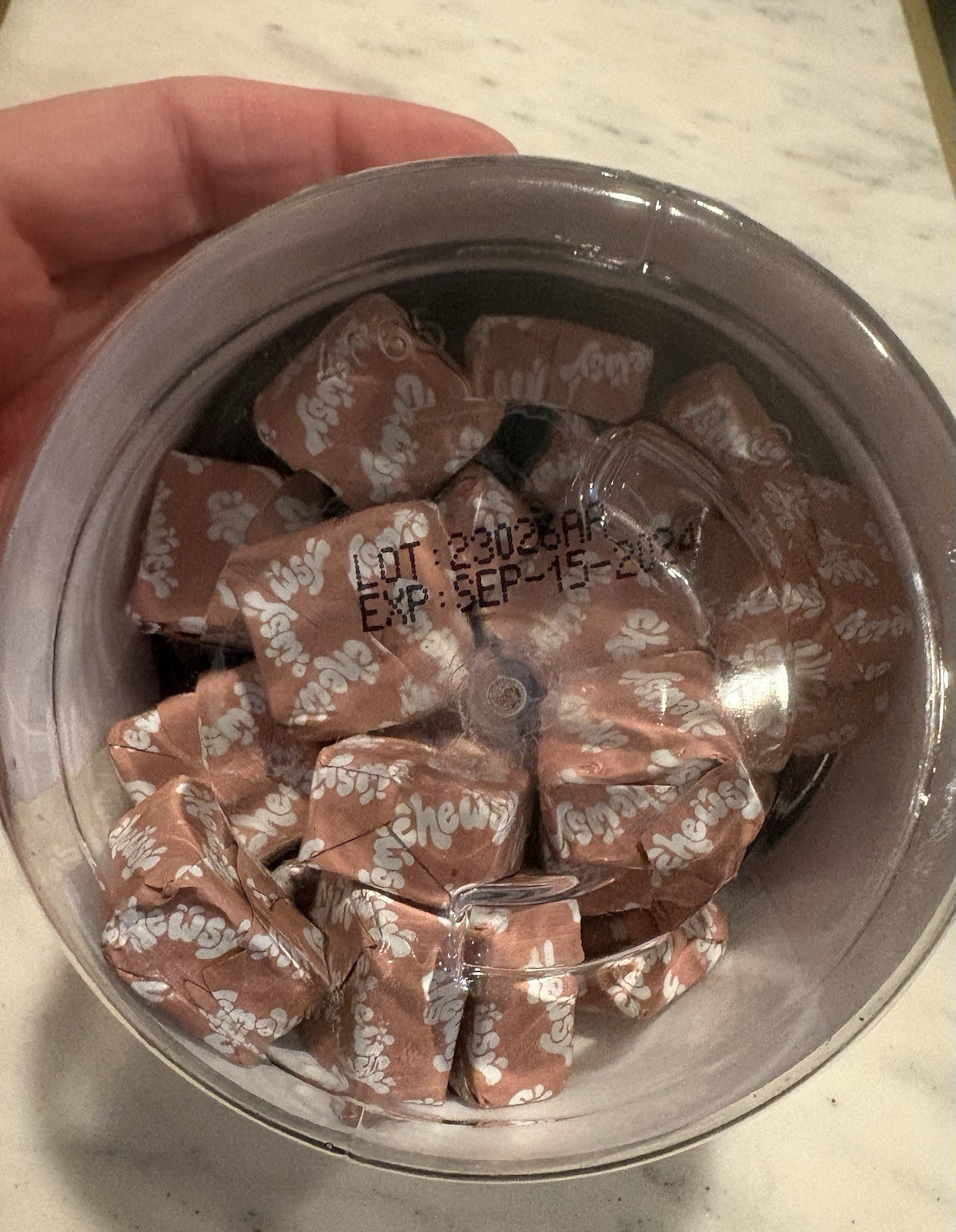 Chewsy Women's Multivitamin Fruity Chews 30 Count Nutritional Supplement Travel