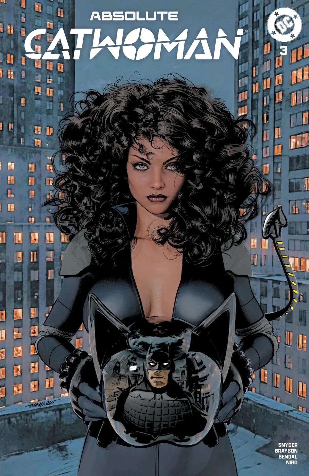 ABSOLUTE CATWOMAN 3