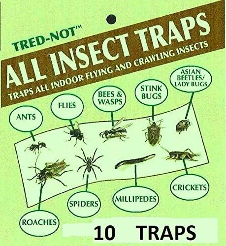10 Pk Camel Cricket/Roach/Scorpion Sticky Traps - product listing photo