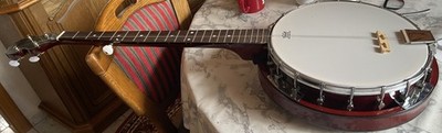 banjo head only remo