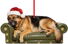 Sleepy German Shepherd Ornament Acrylic Dog Ornament For Christmas Tree New