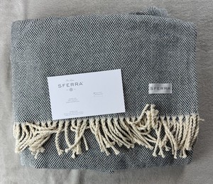 Celine Blanket | eBay