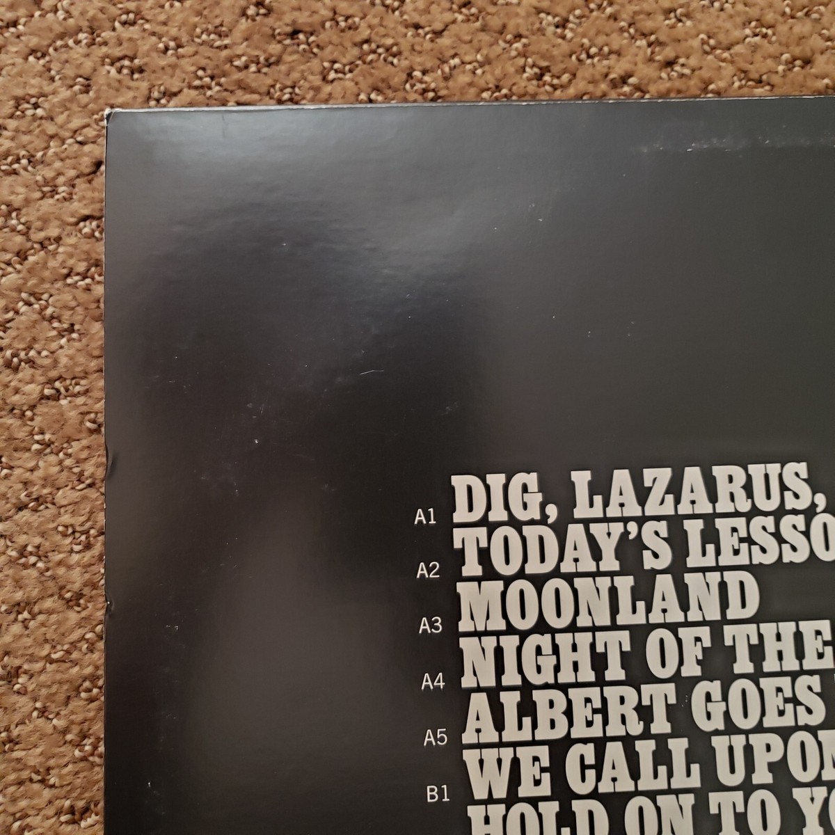 【新品】Nick Cave & The Bad Seeds Dig, La〜LP LP Vinyl Nick Cave & The Bad Seeds DIG LAZARUS DIG Anti 2008
