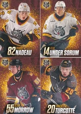 2024-25 Chicago Wolves AHL Carolina Hurricanes Pick A Card Nadeau Morrow Robidas