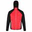 thumbnail 35  - Men’s Regatta Puffa Puffer Quilted Padded Jacket Coat MASSIVE CLEARANCE RRP £70