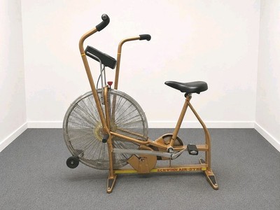 Vtg Schwinn Airdyne Dual Stationary Exercise Bike Ergometer & Fan Wheel Gold 