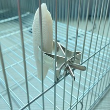 3 Pcs Parrot Bird Food Holder Clips Stainless Steel Vegetable Clamp for Cage