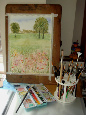 Original signiertes Kunstwerk & Zertifikat Aquarell Mohnwiese A3