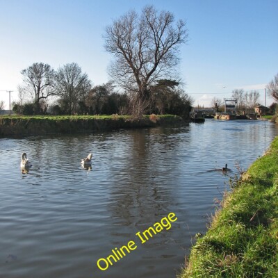 Photo 6x4 Near Baits Bite Lock in December Horningsea Two swans and a mal c2013