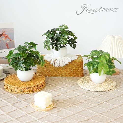 3Pack Small Fake Potted Plants for Indoor Decor Living Room Kitchen Office Shelf - Picture 5 of 5