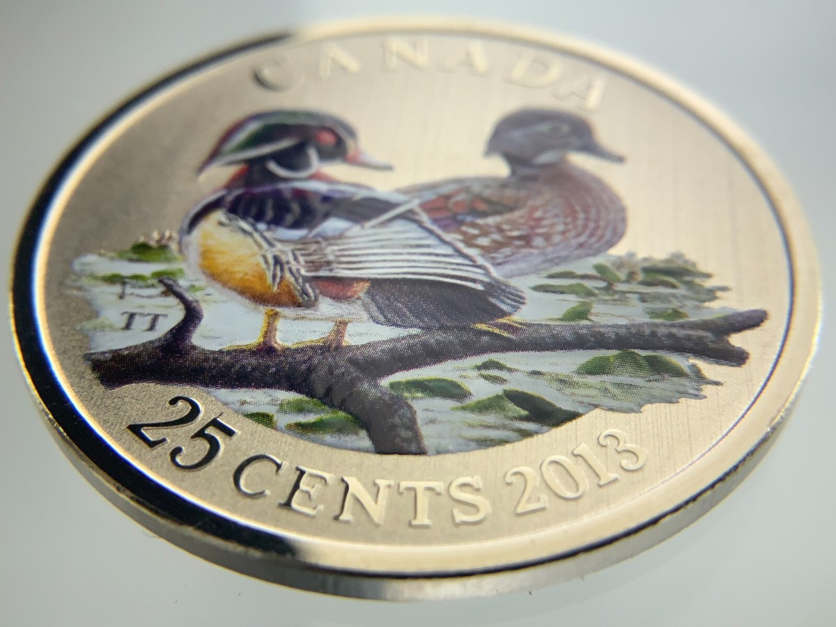 2013 Canada 25 Cents Specimen Coloured Coin Wood Duck RCM in Case
