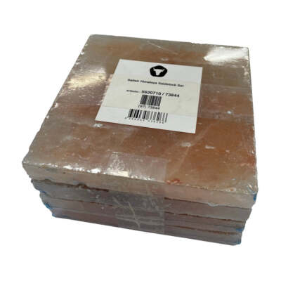 DRY AGER Salzblock Saltair Himalaya für DX 1000