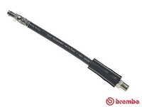Brembo Bremsschlauch T 85 035 FüR BMW E31 Audi 80 8C2 B4 Avant 8C5 B3 89 8B3 8G7