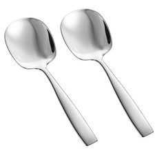 2 Pack Large Serving Spoons Set 9.5 Inch 18/8 Stainless Steel Buffet Silver