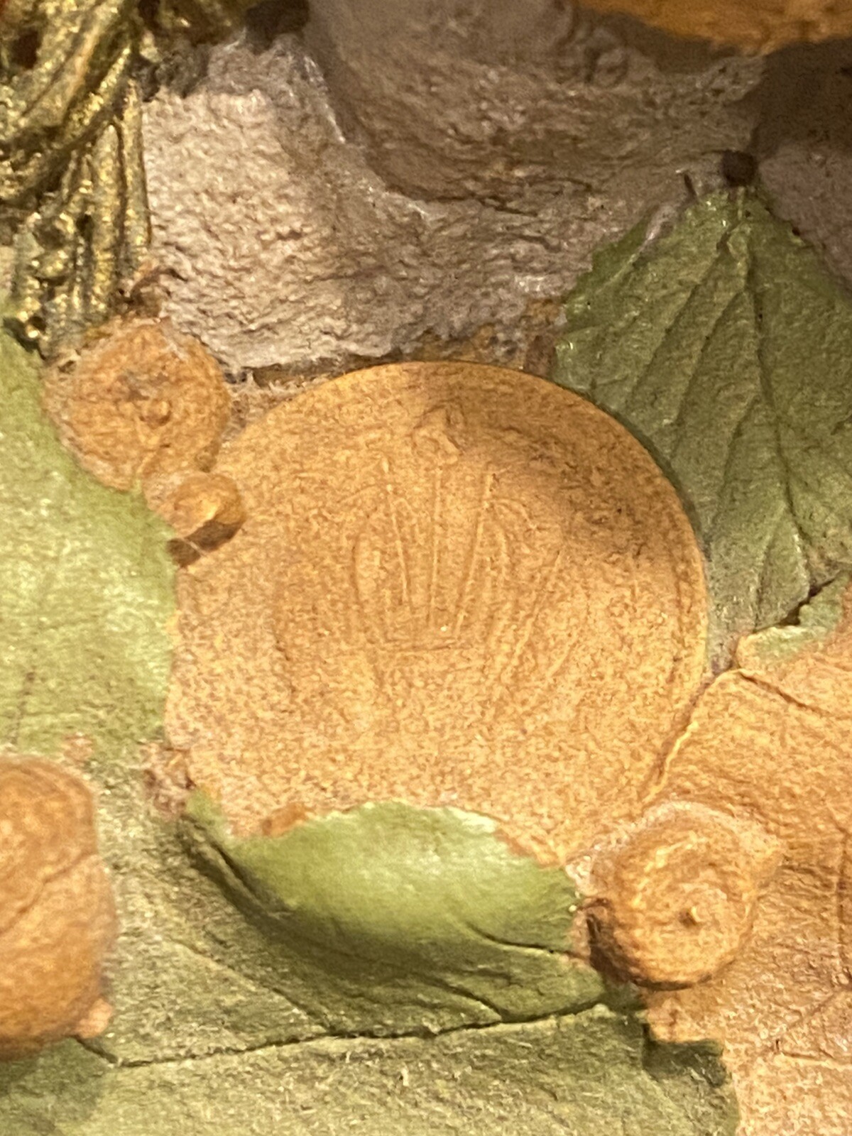 Picture 5 of 11