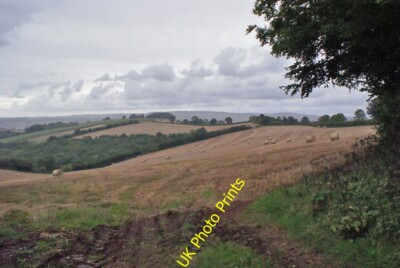 Foto 12x8 Ernte Haus Middle Rocombe Maiskulturen auf hügeligen Feldern nor c2015