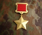 Military WWII WW2 Russia Soviet Union Golden Star Badge Insignia