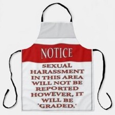 bdsm apron