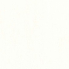 Robert Kaufman - Kona Solid - 108" Wide Backing - Snow, Fabric by the Yard