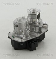 Triscan Agr-Ventil 8813 25042 Passend FüR Nissan Renault