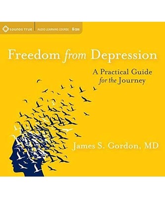 Freedom from Depression: A Practical Guide for the Journey, James S. Gordon