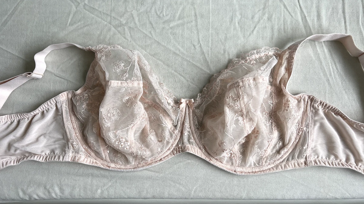 Debenhams bra size 36H