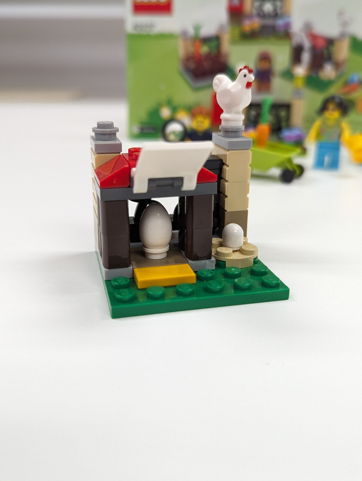Picture 5 of 6