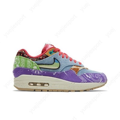 Nike Concepts X Air Max 1 Sp Far Out DN1803-500