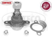 Corteco 49398494 Trag-/FüHrungsgelenk Traggelenk FüHrungsgelenk FüR Ford