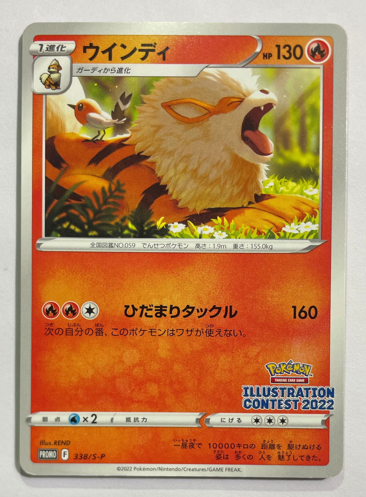 Arcanine 338/S-P Pokémon Japanese 2022 Illustration Contest Promo LP