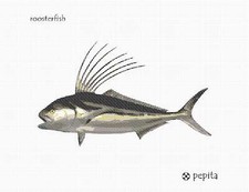 Roosterfish Needlepoint Kit or Canvas