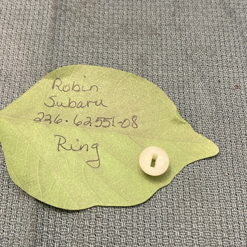 NEW ROBIN SUBARU 226-62551-08 RING - 第 1/2 張圖片