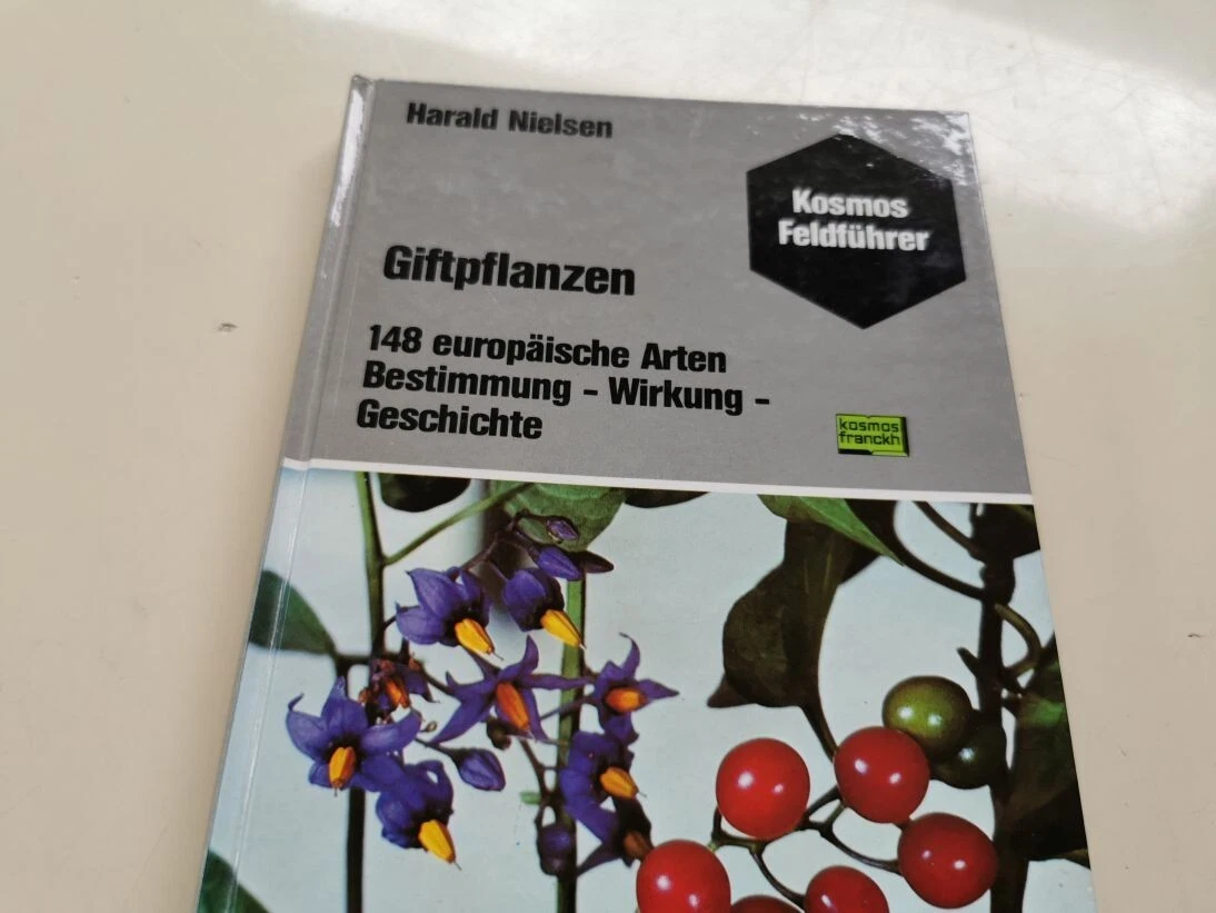 Bild 3 von 17