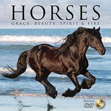 Horses, Willow Creek Press