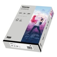 Inapa Farbiges Druckerpapier Tecno Colors 160 G/M² A4 250 Blatt Grau