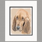 Bloodhound Original Dog Art Print 8x10 Matted to 11x14
