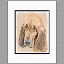 Bloodhound Original Dog Art Print 8x10 Matted to 11x14