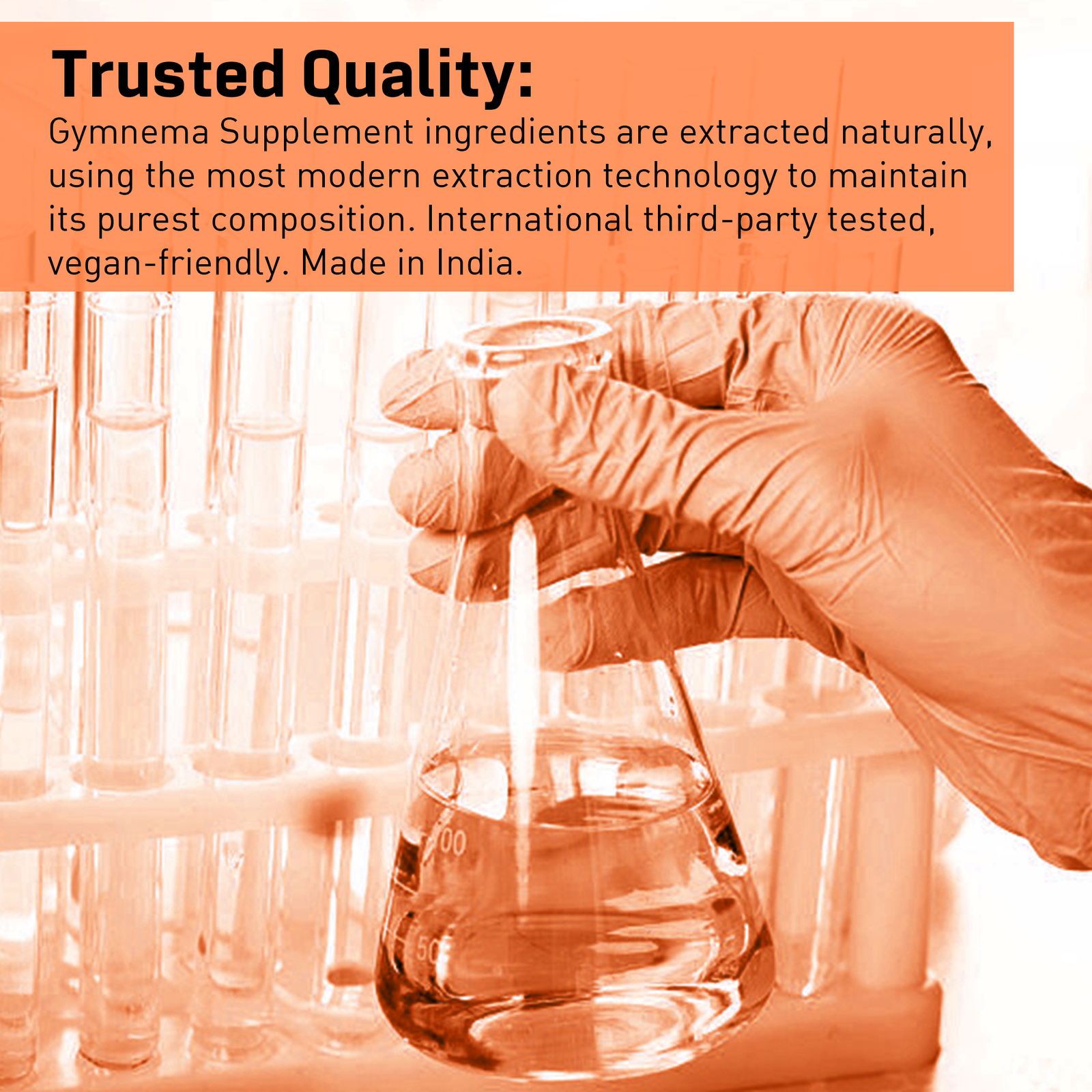 Gymnema Sylvestre Blood Sugar Control, Weight Loss with Turmeric