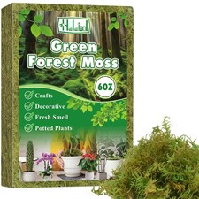 Halatool 6OZ Green Moss for Indoor Plants, 8QT Orchid 6oz,