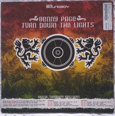 Benny Page Turn Down The Lights / Soundboy Burial 12'' Drum N Bass Vinyl