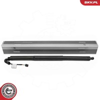 Esen SKV Elektromotor, Heckklappe Beidseitig FüR Cupra