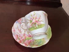 Vintage "Royal Albert" Bone China 'Blossom Time' Cup & Saucer Pink Floral LNC